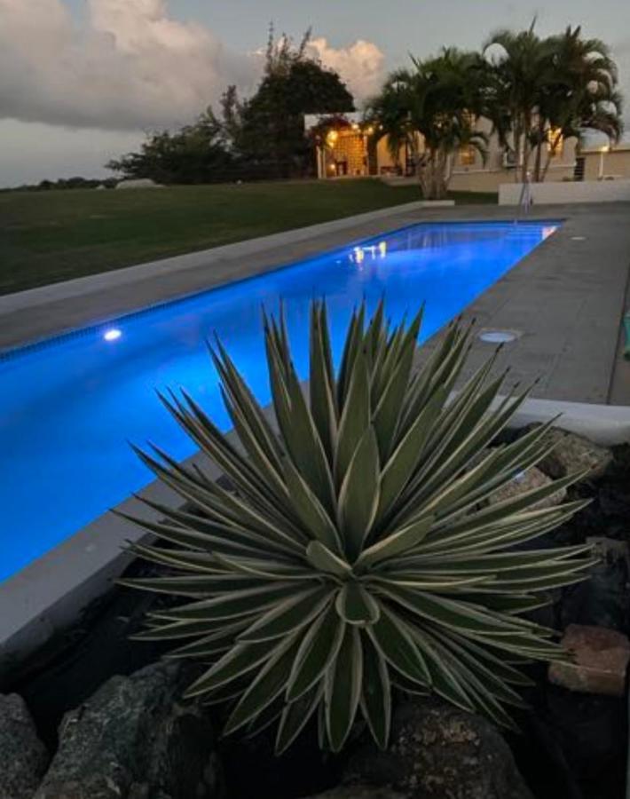 Hotel Lejos Eco Retreat Vieques Zewnętrze zdjęcie