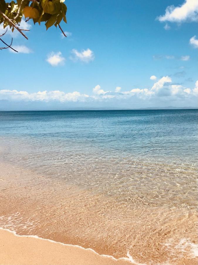 Hotel Lejos Eco Retreat Vieques Zewnętrze zdjęcie